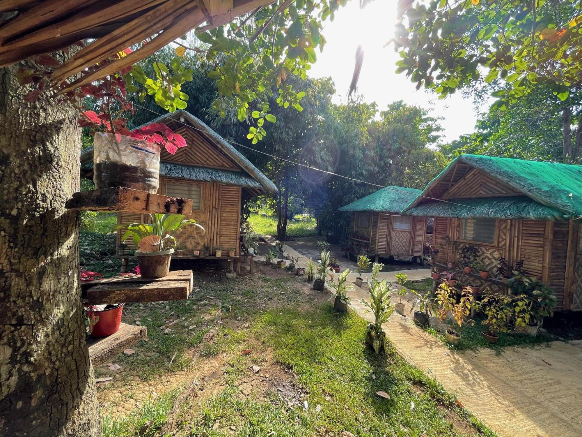 Blue Moon Guesthouse Puerto Princesa Exterior photo
